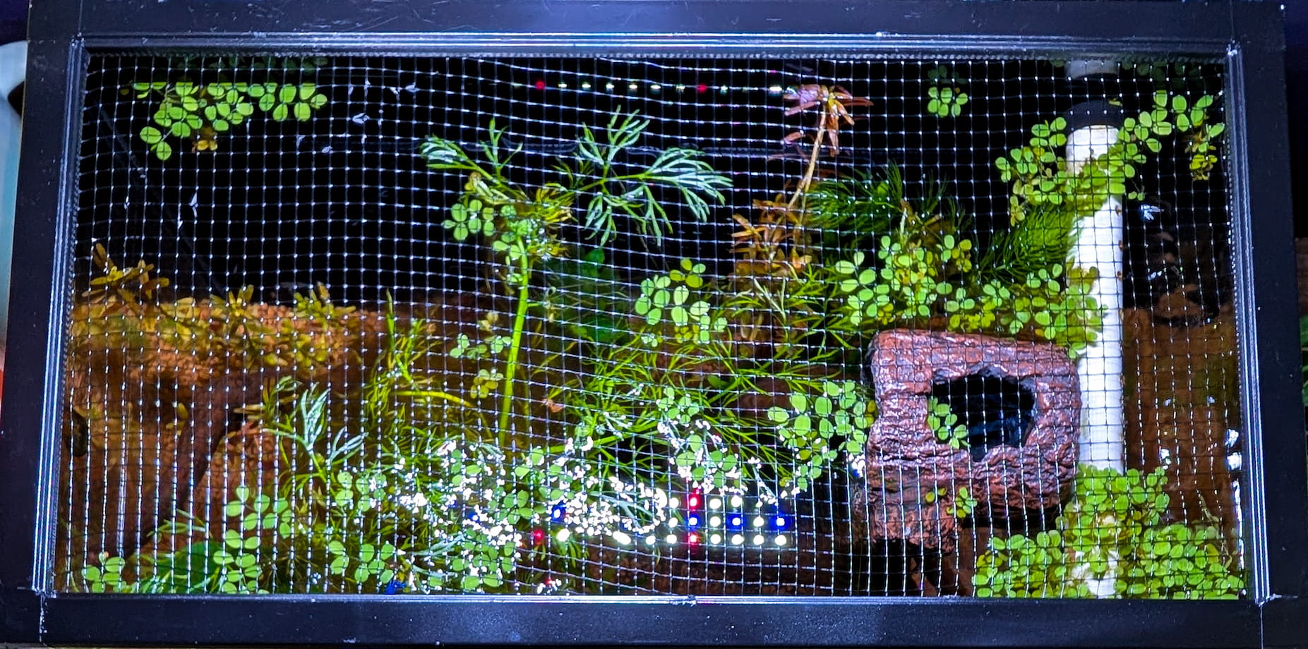 Final Mesh Lid Custom Build